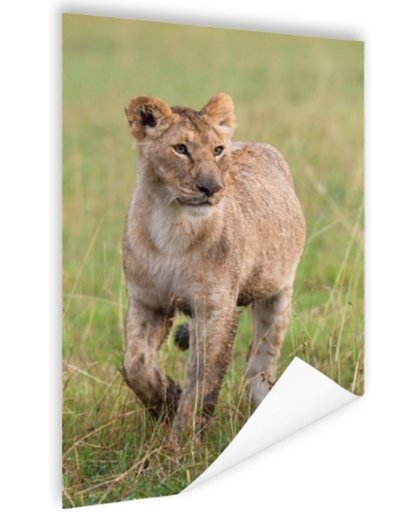 FotoCadeau.nl - Lopende Afrikaanse leeuwin Poster 120x180 cm - Foto print op Poster (wanddecoratie)
