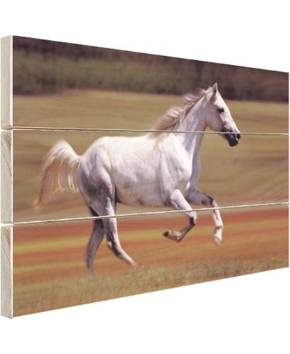 FotoCadeau.nl - Vrolijk wit paard loopt in grasveld Hout 60x40 cm - Foto print op Hout (Wanddecoratie)
