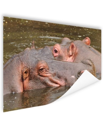 FotoCadeau.nl - Nijlpaarden naast elkaar Poster 90x60 cm - Foto print op Poster (wanddecoratie)