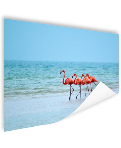 FotoCadeau.nl - Roze flamingos in het water  Poster 180x120 cm - Foto print op Poster (wanddecoratie)