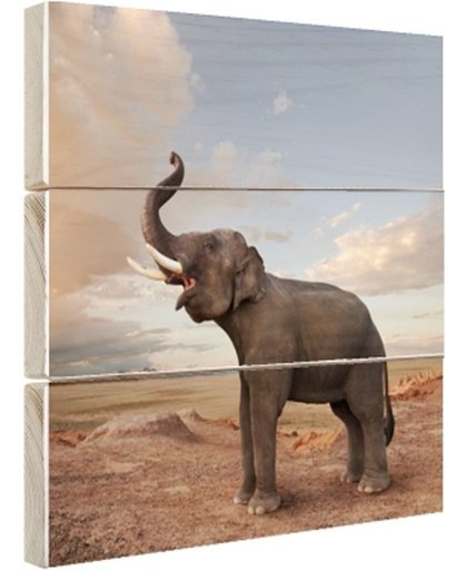 FotoCadeau.nl - Trompetterende olifant in de woestijn Hout 100x100 cm - Foto print op Hout (Wanddecoratie)