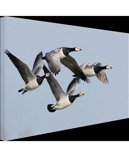 FotoCadeau.nl - Vier ganzen in de lucht Canvas 120x80 cm - Foto print op Canvas schilderij (Wanddecoratie)