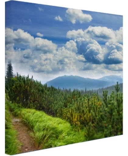 FotoCadeau.nl - Een bospad in de bergen Canvas 100x100 cm - Foto print op Canvas schilderij (Wanddecoratie)