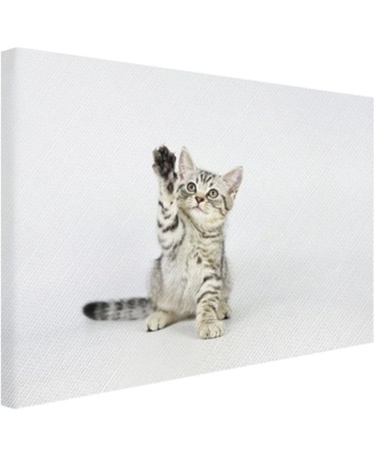 FotoCadeau.nl - Kitten steekt pootje in de lucht Canvas 120x80 cm - Foto print op Canvas schilderij (Wanddecoratie)