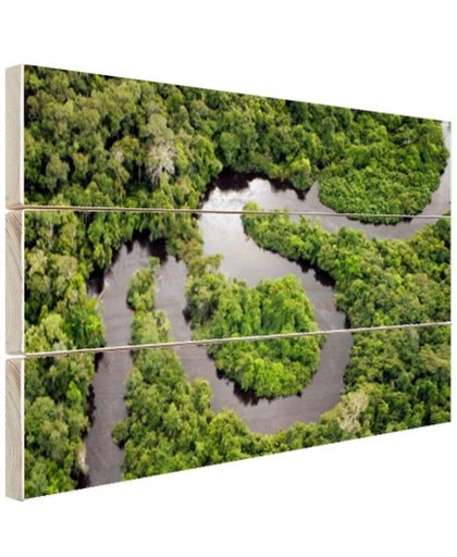 FotoCadeau.nl - Regenwoud en Amazone Brazilie Hout 60x40 cm - Foto print op Hout (Wanddecoratie)