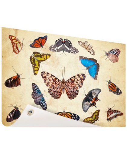 FotoCadeau.nl - Botanische print vlinders Tuinposter 200x100 cm - Foto op Tuinposter (tuin decoratie)