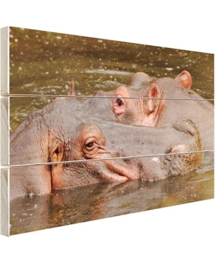 FotoCadeau.nl - Nijlpaarden naast elkaar Hout 120x80 cm - Foto print op Hout (Wanddecoratie)