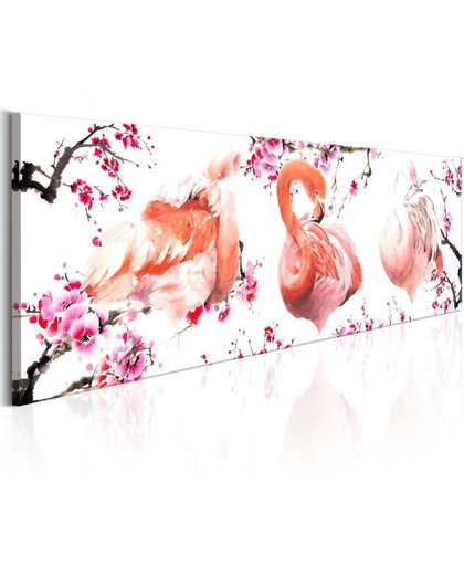 Schilderij - Schoonheid van Flamingo's