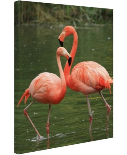 Twee rode flamingos Canvas 80x120 cm - Foto print op Canvas schilderij (Wanddecoratie)
