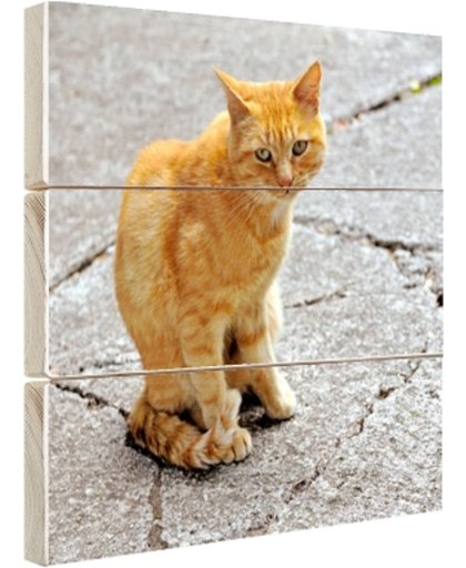 FotoCadeau.nl - Rode kat op straat Hout 100x100 cm - Foto print op Hout (Wanddecoratie)