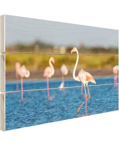 FotoCadeau.nl - Groep Europese flamingos Hout 120x80 cm - Foto print op Hout (Wanddecoratie)
