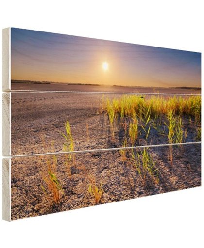 FotoCadeau.nl - Droge woestijn met plantjes  Hout 60x40 cm - Foto print op Hout (Wanddecoratie)