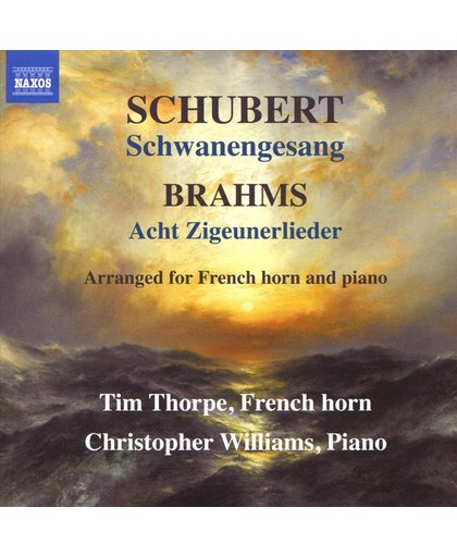Schubert: Schwanengesang; Brahms: Acht Zigeunerlieder