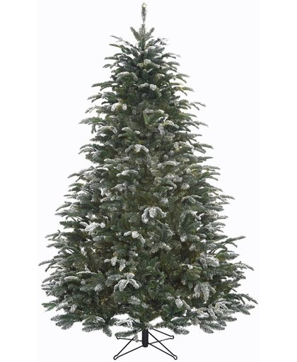 Black Box Trees - Kerstboom Frosted Stelton H185D122 Groen  Tips 1191
