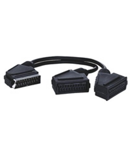 Goobay AVK 163-020 0.2m 0.2m SCART (21-pin) SCART (21-pin) SCART-kabel