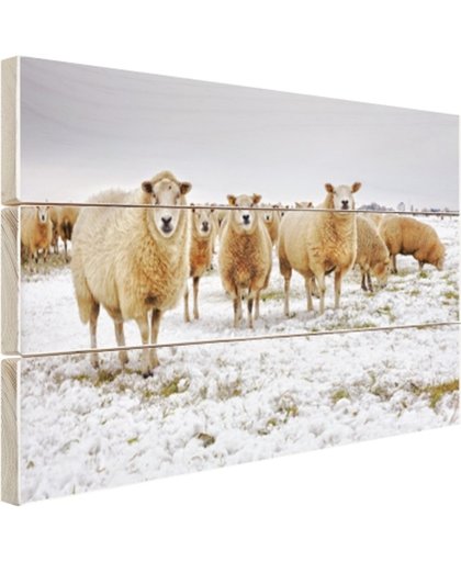 FotoCadeau.nl - Schapen in een winterlandschap Hout 80x60 cm - Foto print op Hout (Wanddecoratie)