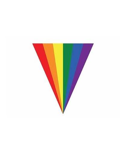 Gay pride slinger vlaggenlijn 5 m