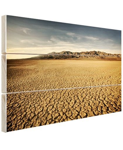 FotoCadeau.nl - Droog woestijngebied Hout 30x20 cm - Foto print op Hout (Wanddecoratie)