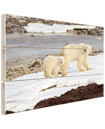 FotoCadeau.nl - Moeder en zoon ijsbeer Hout 120x80 cm - Foto print op Hout (Wanddecoratie)