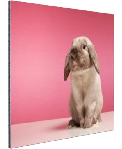 FotoCadeau.nl - Konijnen voor roze muur Aluminium 90x60 cm - Foto print op Aluminium (metaal wanddecoratie)