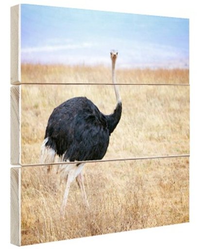 FotoCadeau.nl - Portret mannelijke struisvogel Hout 30x20 cm - Foto print op Hout (Wanddecoratie)