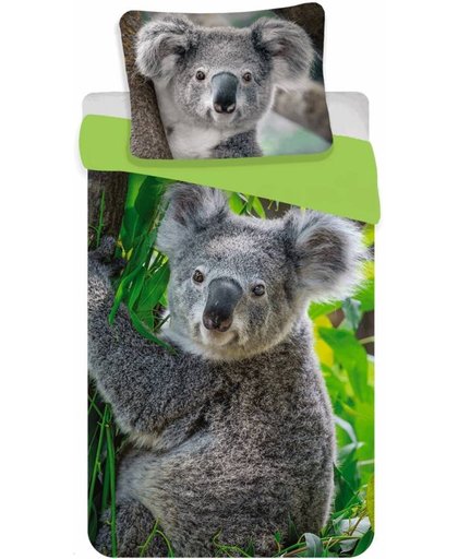 Animal Pictures Koala - Dekbedovertrek - Eenpersoons - 140 x 200 cm - 100% katoen