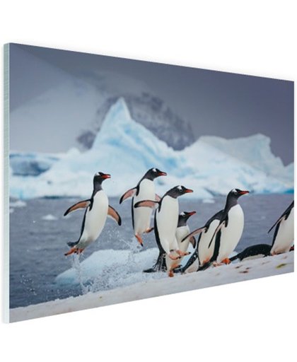 FotoCadeau.nl - Pinguins springen uit het water Glas 30x20 cm - Foto print op Glas (Plexiglas wanddecoratie)
