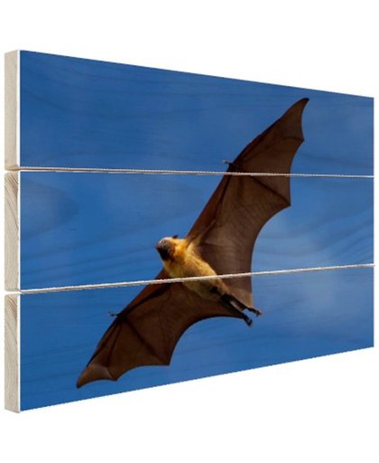 FotoCadeau.nl - Grote vleermuis in vlucht Hout 80x60 cm - Foto print op Hout (Wanddecoratie)