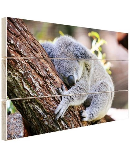 FotoCadeau.nl - Slapende koala Hout 80x60 cm - Foto print op Hout (Wanddecoratie)