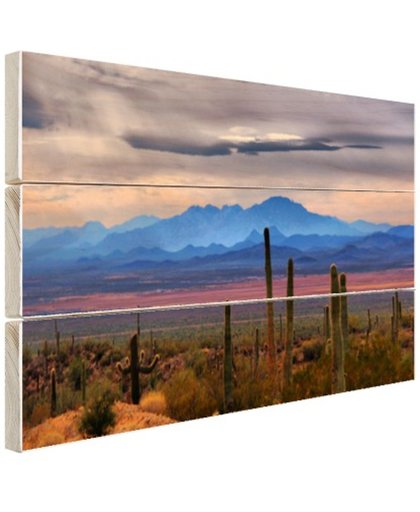 FotoCadeau.nl - Sonoran woestijn Mexico Hout 120x80 cm - Foto print op Hout (Wanddecoratie)