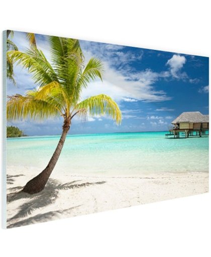 Palm en hutten op tropisch eiland Glas 180x120 cm - Foto print op Glas (Plexiglas wanddecoratie)
