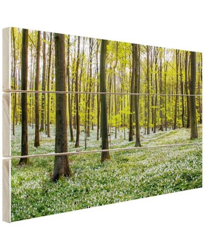 FotoCadeau.nl - Foto van bos in de lente Hout 120x80 cm - Foto print op Hout (Wanddecoratie)