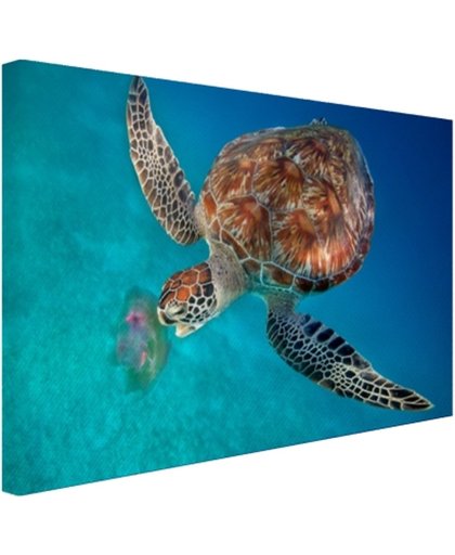 FotoCadeau.nl - Groene schildpad met kwal Canvas 60x40 cm - Foto print op Canvas schilderij (Wanddecoratie)