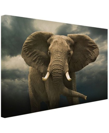 Afrikaanse olifant donkere wolken Canvas 180x120 cm - Foto print op Canvas schilderij (Wanddecoratie)