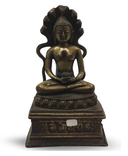Slang Boeddha - 24 cm
