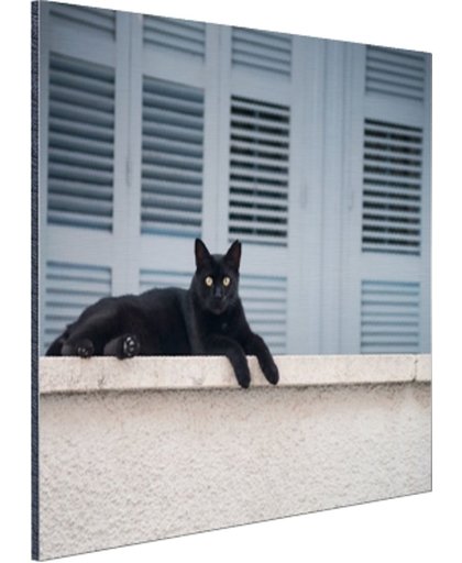 FotoCadeau.nl - Zwarte kat aan het rusten Aluminium 90x60 cm - Foto print op Aluminium (metaal wanddecoratie)
