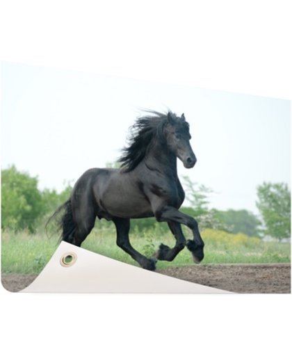 FotoCadeau.nl - Prachtig zwart paard Tuinposter 120x80 cm - Foto op Tuinposter (tuin decoratie)