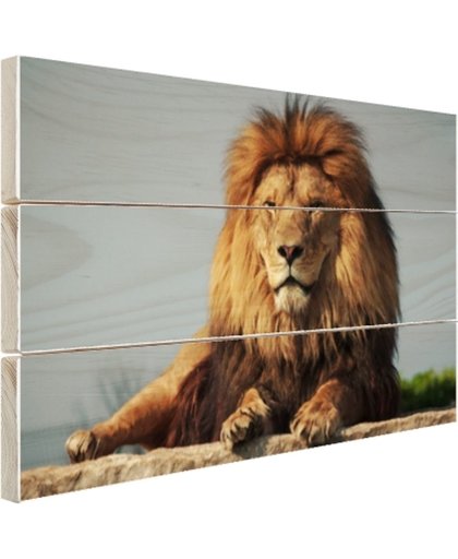 FotoCadeau.nl - Rustende leeuw op een rotsblok Hout 30x20 cm - Foto print op Hout (Wanddecoratie)