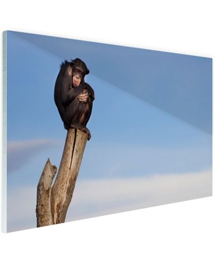 FotoCadeau.nl - Chimpansee op boomstam Glas 90x60 cm - Foto print op Glas (Plexiglas wanddecoratie)