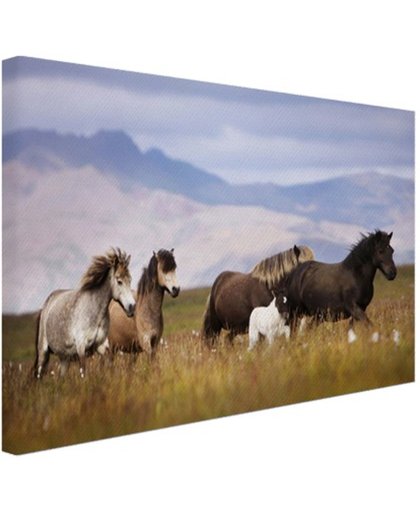 Paarden in de bergen Canvas 180x120 cm - Foto print op Canvas schilderij (Wanddecoratie)