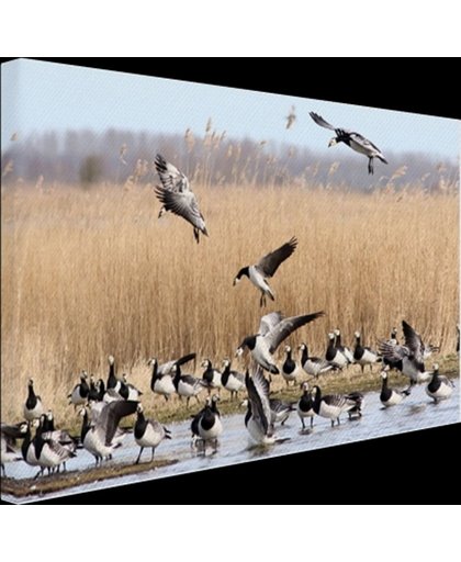 FotoCadeau.nl - Groep ganzen in het water Canvas 120x80 cm - Foto print op Canvas schilderij (Wanddecoratie)