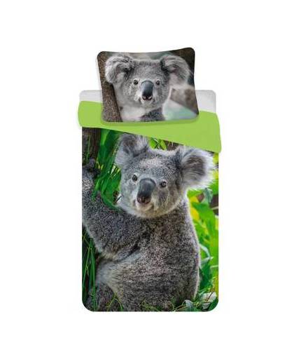 Koala - dekbedovertrek - eenpersoons - 140 x 200 cm - multi