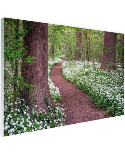 FotoCadeau.nl - Pad in een bos met wilde knoflook Glas 30x20 cm - Foto print op Glas (Plexiglas wanddecoratie)