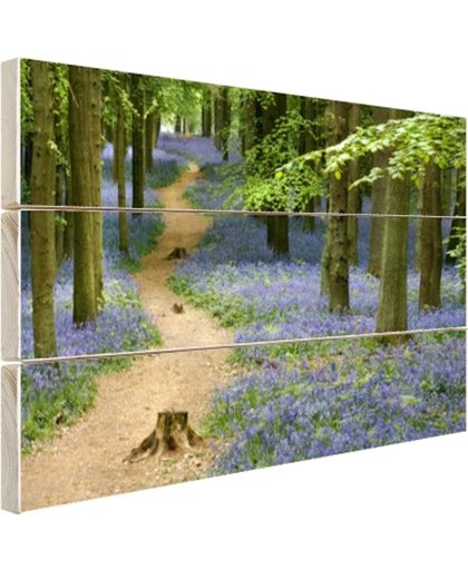 FotoCadeau.nl - Bospaadje met blauwe bloemen Hout 30x20 cm - Foto print op Hout (Wanddecoratie)