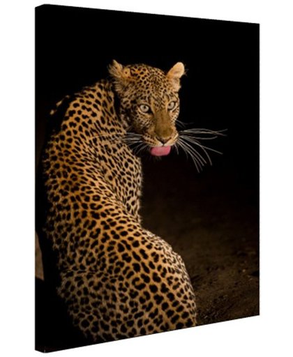 Luipaard in de nacht foto afdruk Canvas 120x180 cm - Foto print op Canvas schilderij (Wanddecoratie)