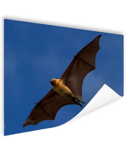 FotoCadeau.nl - Grote vleermuis in vlucht Poster 180x120 cm - Foto print op Poster (wanddecoratie)