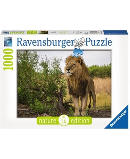 Ravensburger puzzel Trotse leeuw - Legpuzzel - 1000 stukjes