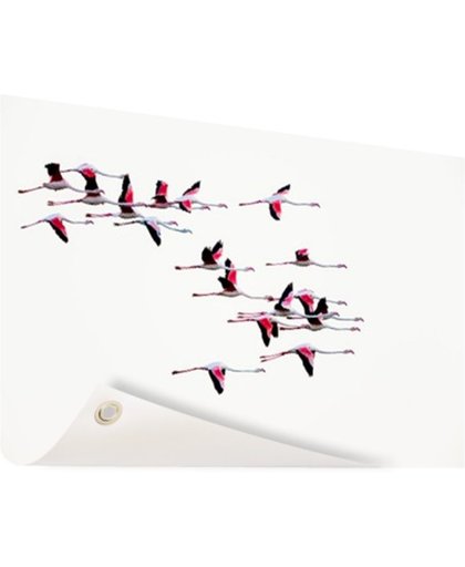 FotoCadeau.nl - Vliegende flamingos Tuinposter 200x100 cm - Foto op Tuinposter (tuin decoratie)