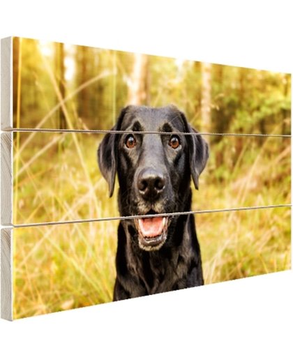 FotoCadeau.nl - Gelukkige zwarte hond Hout 80x60 cm - Foto print op Hout (Wanddecoratie)