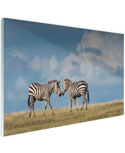 Verliefde zebras fotoafdruk Glas 180x120 cm - Foto print op Glas (Plexiglas wanddecoratie)